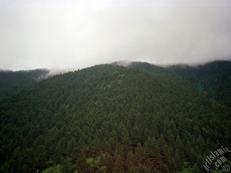 View of Uzungol high plateau located in Trabzon city of Turkey.
