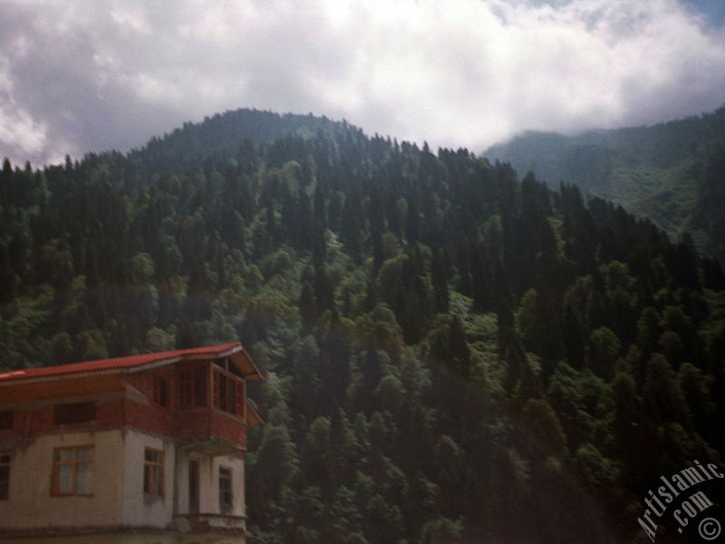 View of Ayder high plateau and spa located in Rize city of Turkey.
