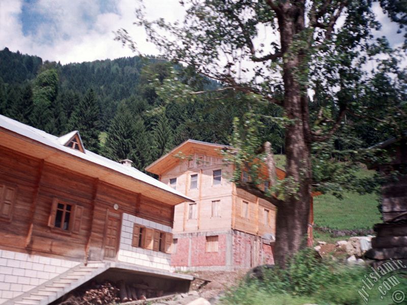 View of Ayder high plateau and spa located in Rize city of Turkey.
