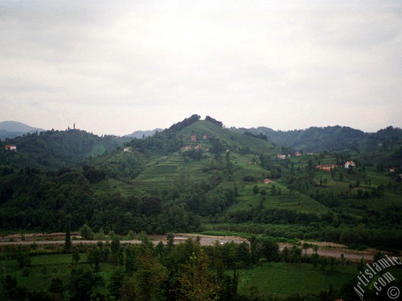 View of village from `OF district` in Trabzon city of Turkey.
