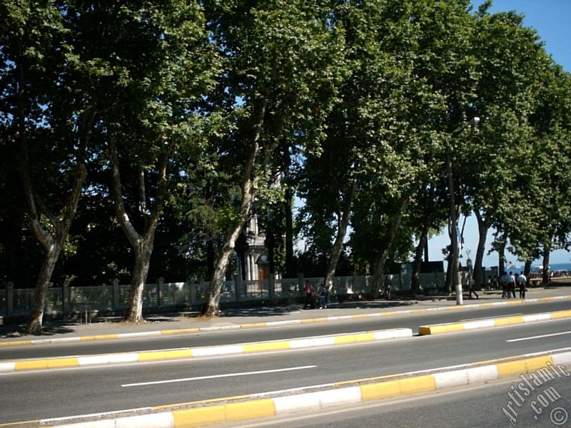 View of Dolmabahce Palace and coast in Dolmabahce district in Istanbul city of Turkey.
