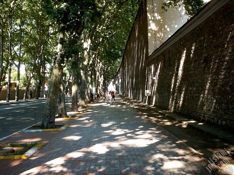 View towards Besiktas district from the way of Dolmabahce-Besiktas in Istanbul city of Turkey.
