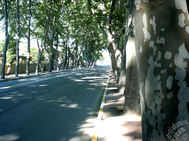 View towards Besiktas district from the way of Dolmabahce-Besiktas in Istanbul city of Turkey.
