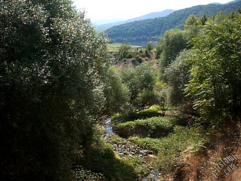 View of Termal-Gokcedere Village in Yalova city of Turkey.
