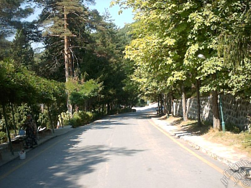 View of Termal-Gokcedere Village in Yalova city of Turkey.
