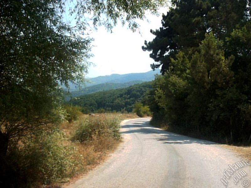 View of Termal-Gokcedere Village in Yalova city of Turkey.
