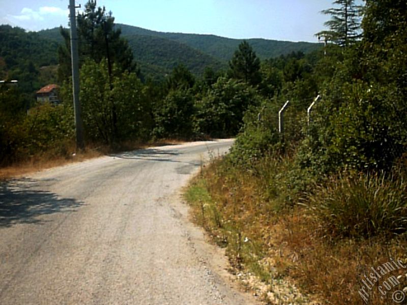 View of Termal-Gokcedere Village in Yalova city of Turkey.
