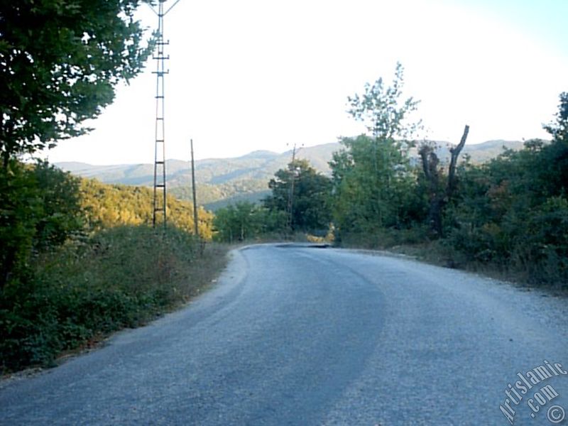 View of Termal-Gokcedere Village in Yalova city of Turkey.
