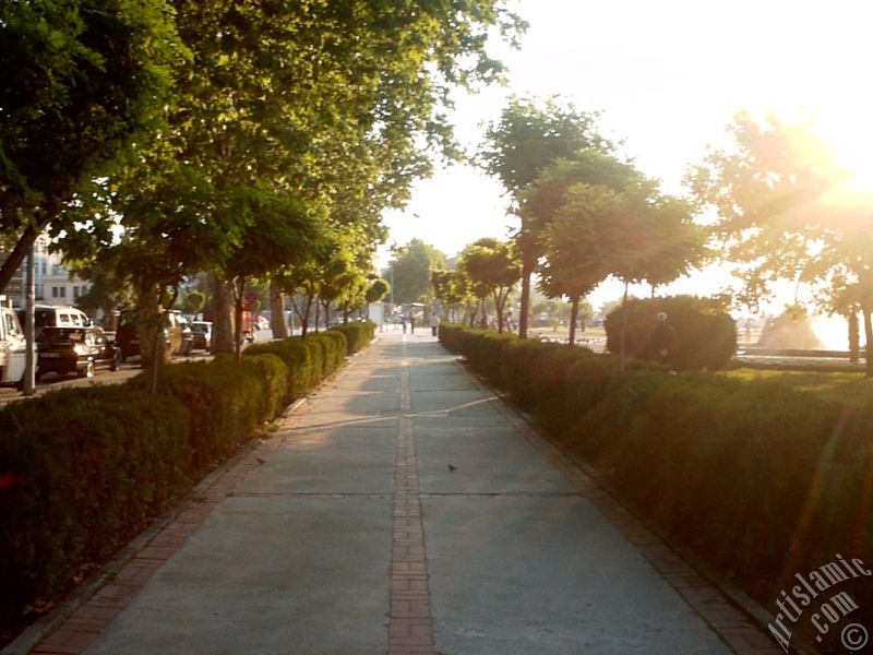 View of Yalova city in Turkey.
