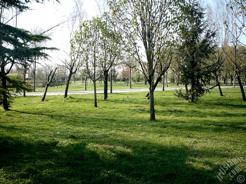 View of Botanical Park in Bursa city of Turkey.
