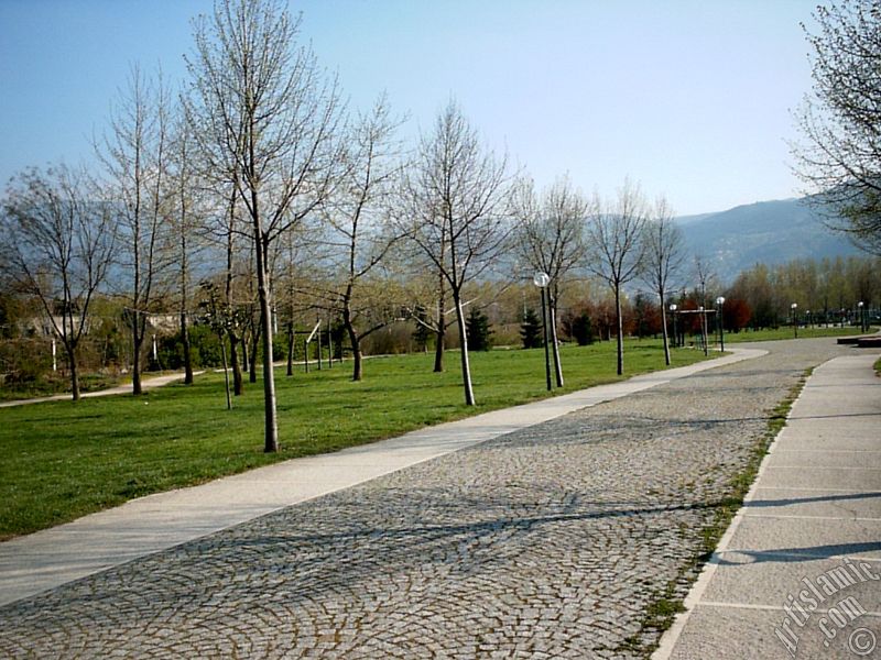 View of Botanical Park in Bursa city of Turkey.

