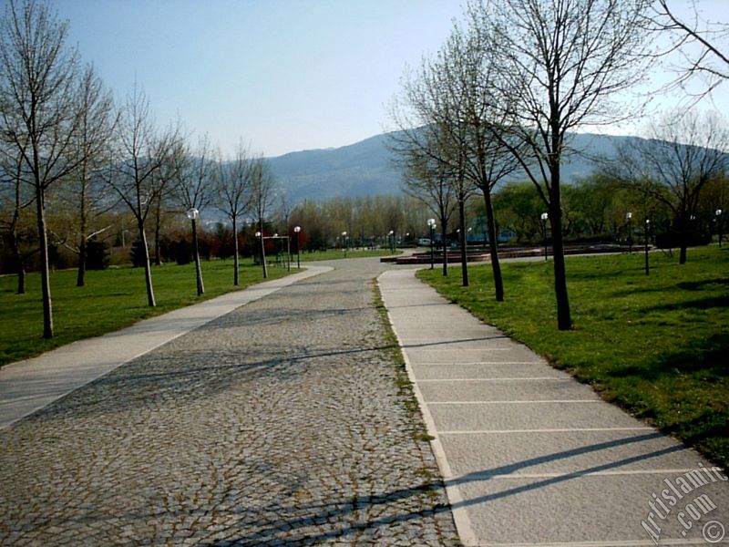 View of Botanical Park in Bursa city of Turkey.
