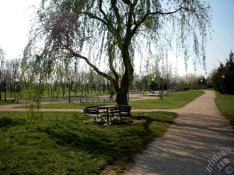 View of Botanical Park in Bursa city of Turkey.
