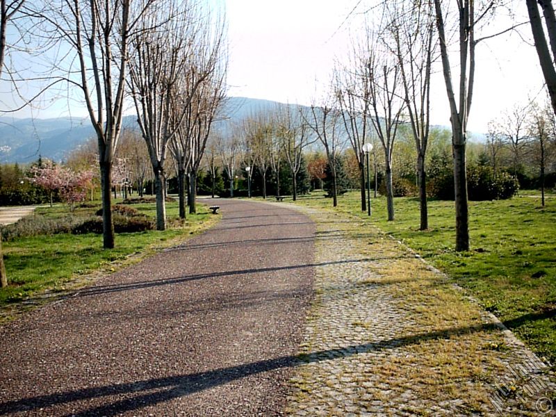 View of Botanical Park in Bursa city of Turkey.
