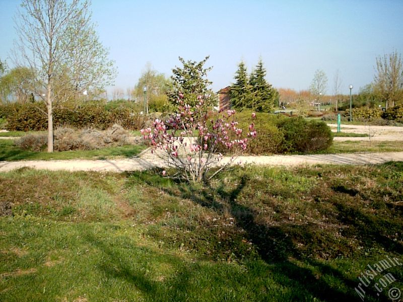 View of Botanical Park in Bursa city of Turkey.
