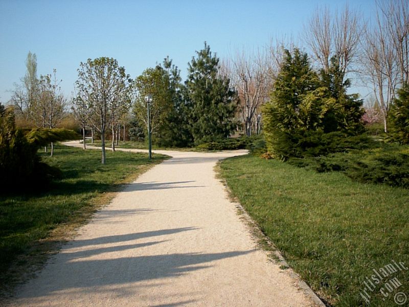 View of Botanical Park in Bursa city of Turkey.
