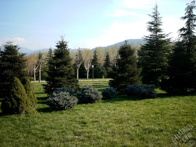 View of Botanical Park in Bursa city of Turkey.
