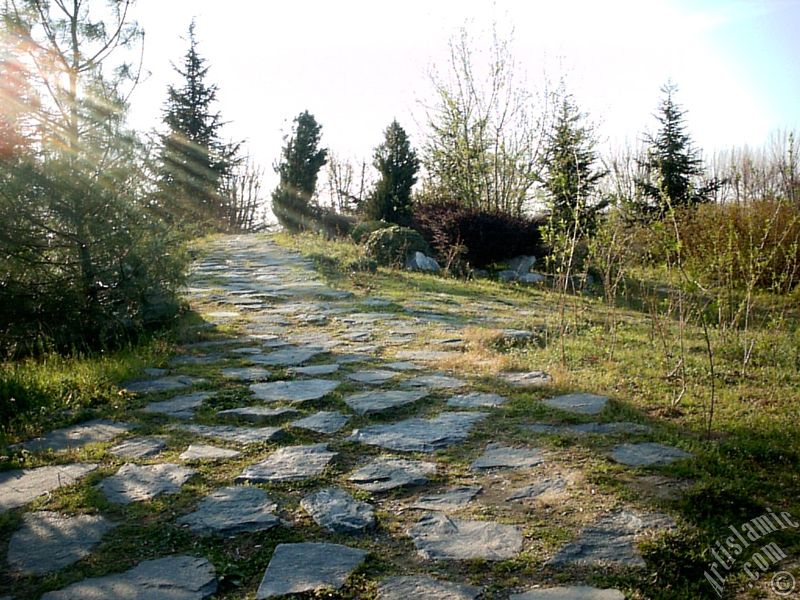 View of Botanical Park in Bursa city of Turkey.
