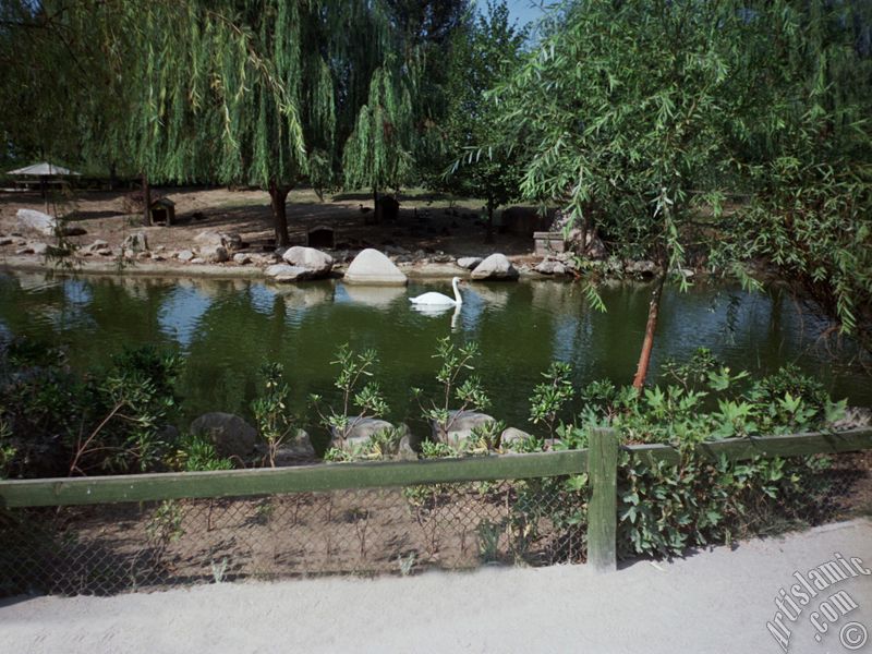 View of Bursa city`s zoo in Turkey.
