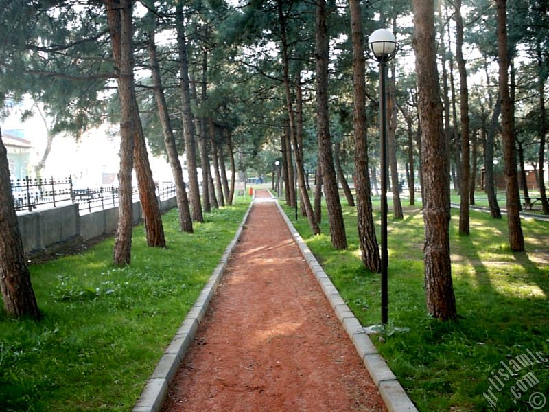 View of a park in Fethiye district in Bursa city of Turkey.
