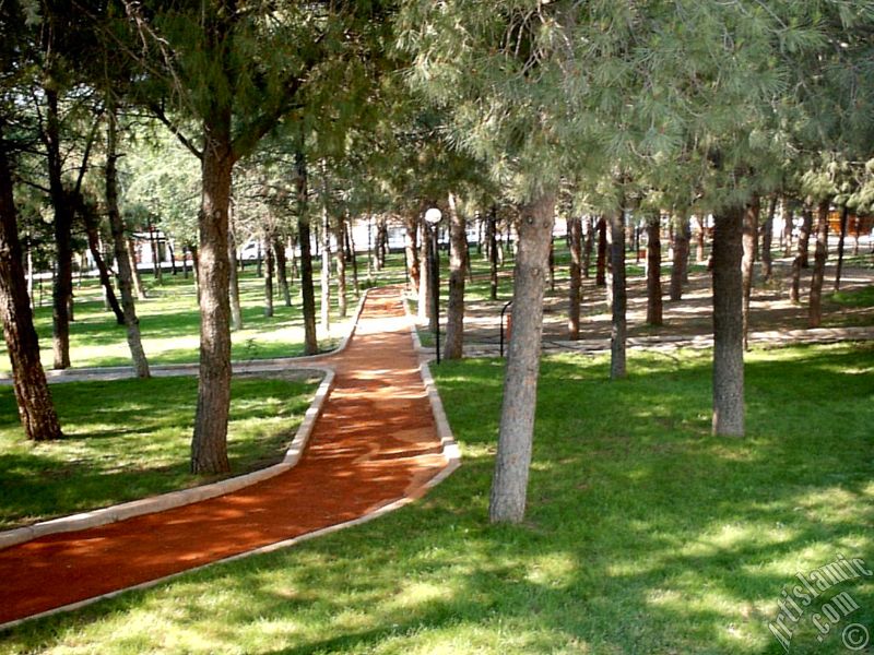 View of a park in Fethiye district in Bursa city of Turkey.
