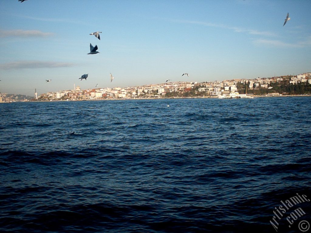 View of Uskudar-Harem coast from the Bosphorus in Istanbul city of Turkey.
