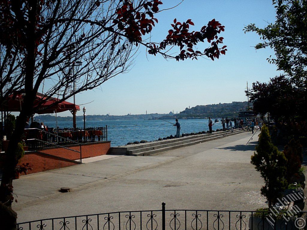 View of Kabatas and Eminonu coast from a park at Besiktas shore in Istanbul city of Turkey.
