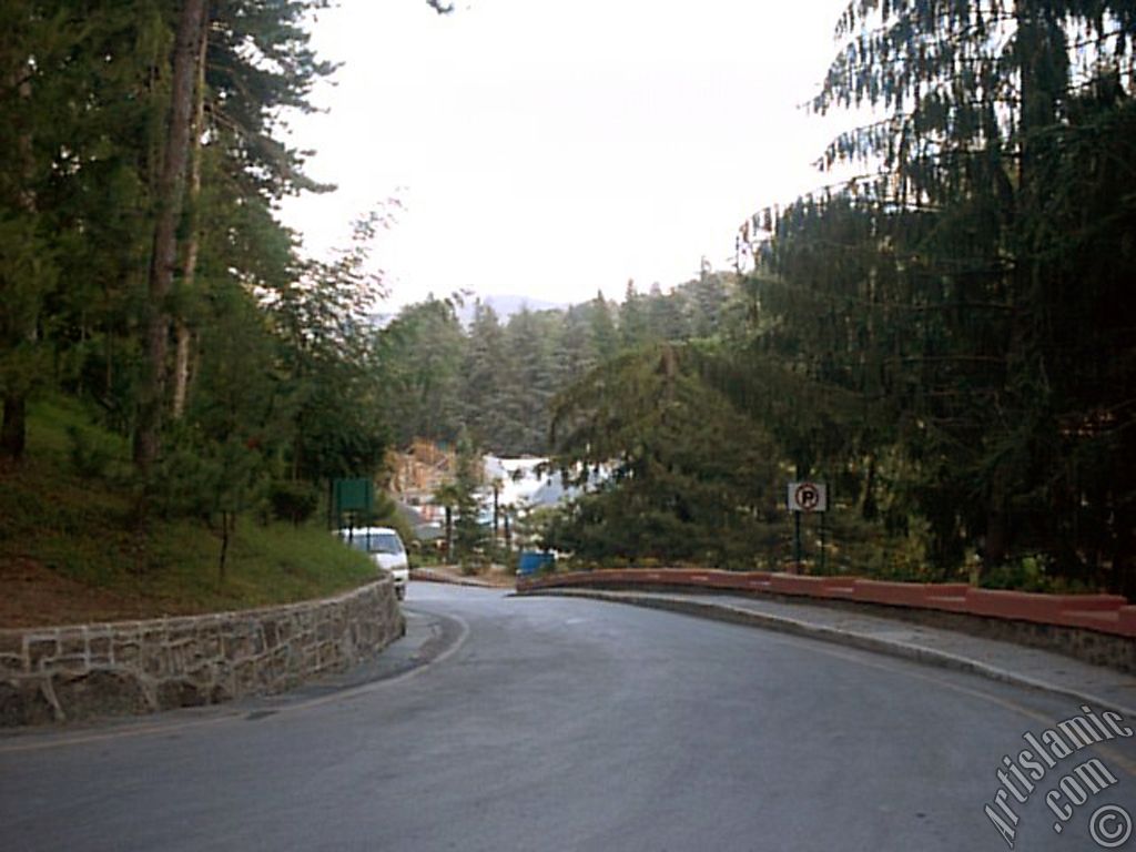 View of Termal-Gokcedere Village in Yalova city of Turkey.
