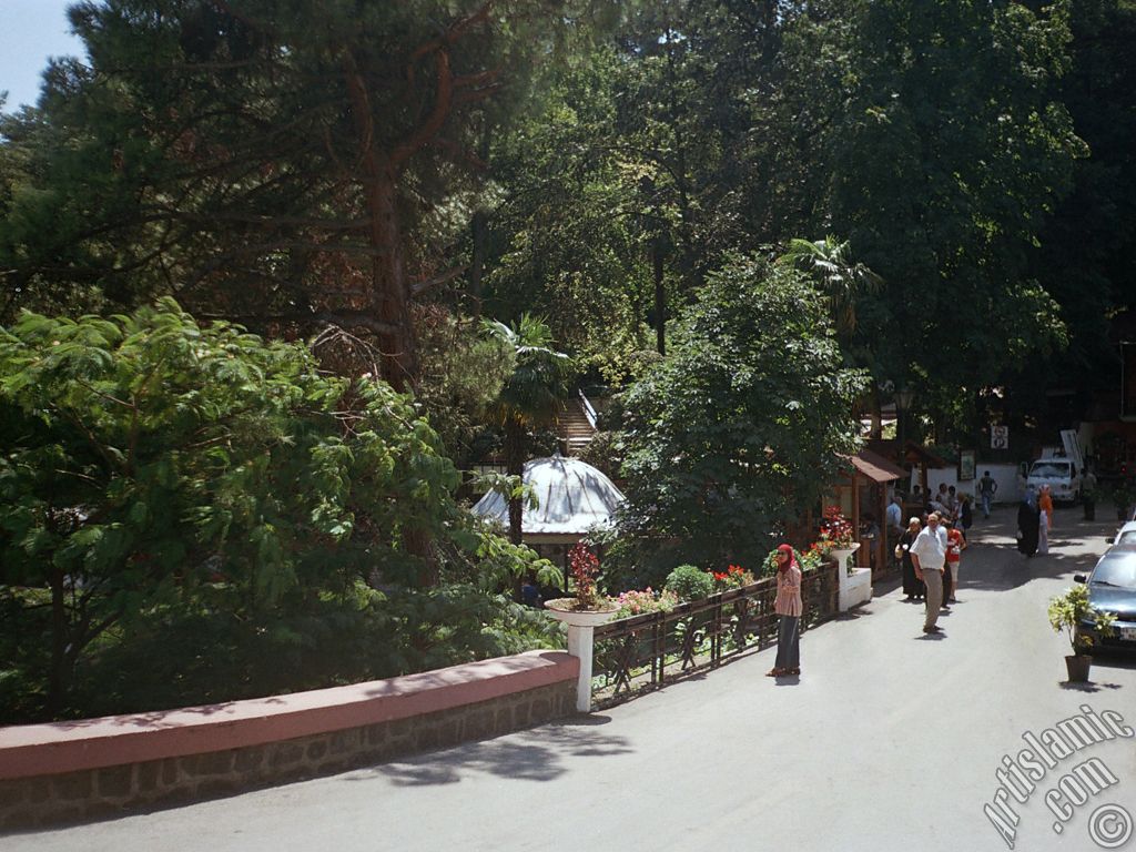 View of Termal-Gokcedere Village in Yalova city of Turkey.
