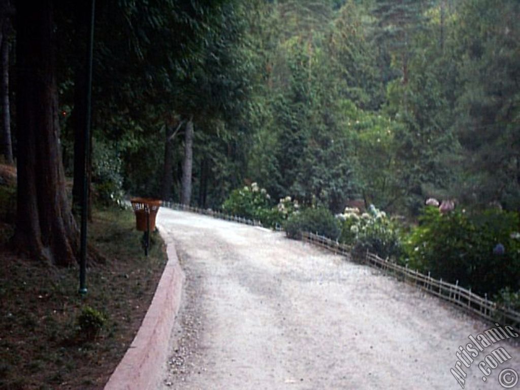 View of Termal-Gokcedere Village in Yalova city of Turkey.
