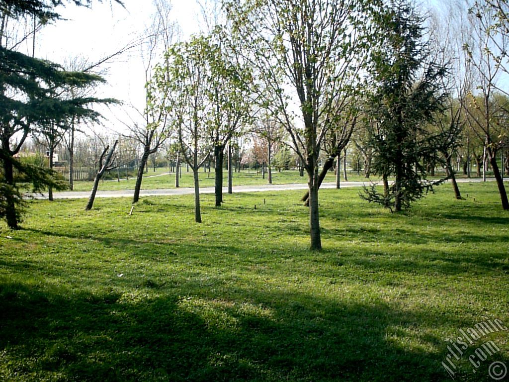View of Botanical Park in Bursa city of Turkey.
