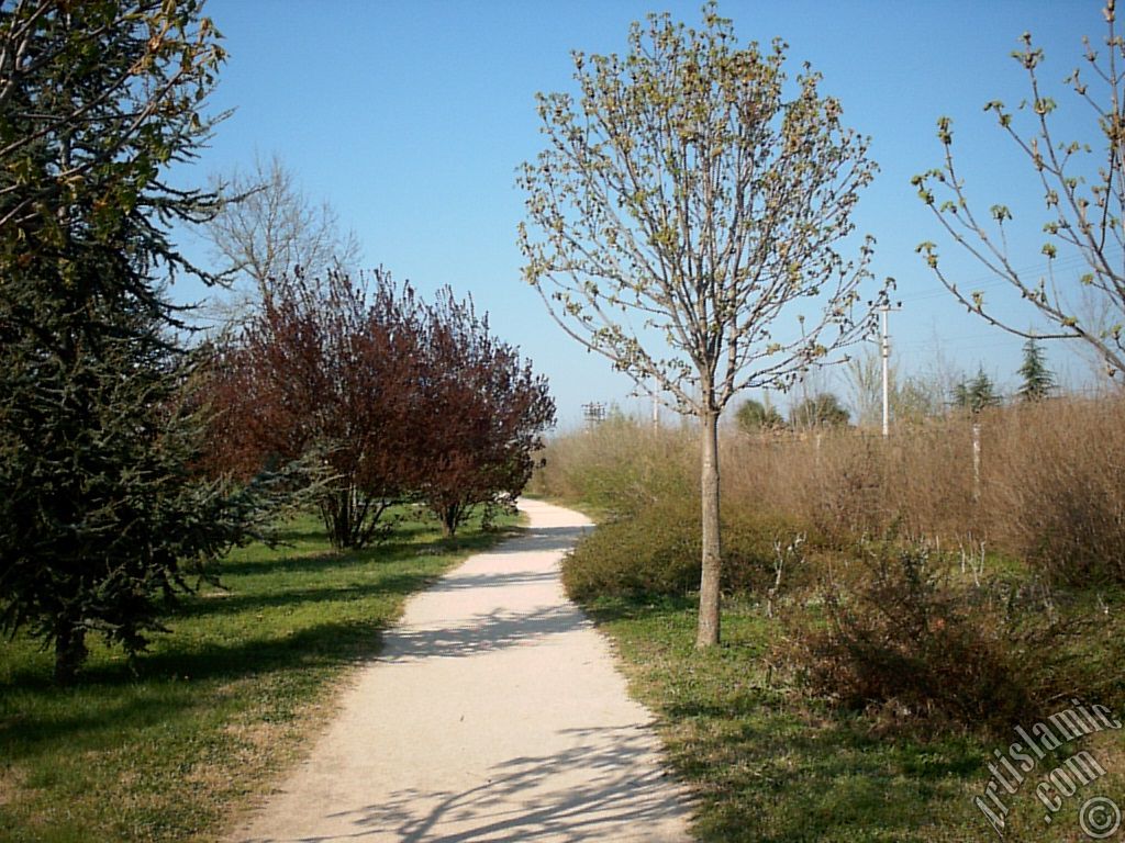 View of Botanical Park in Bursa city of Turkey.
