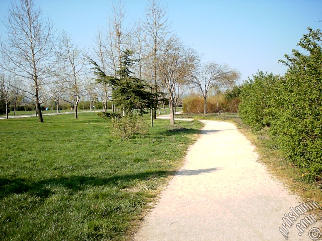View of Botanical Park in Bursa city of Turkey.
