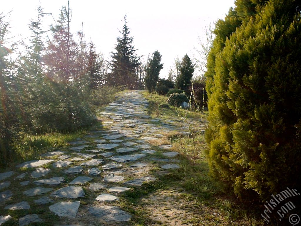 View of Botanical Park in Bursa city of Turkey.
