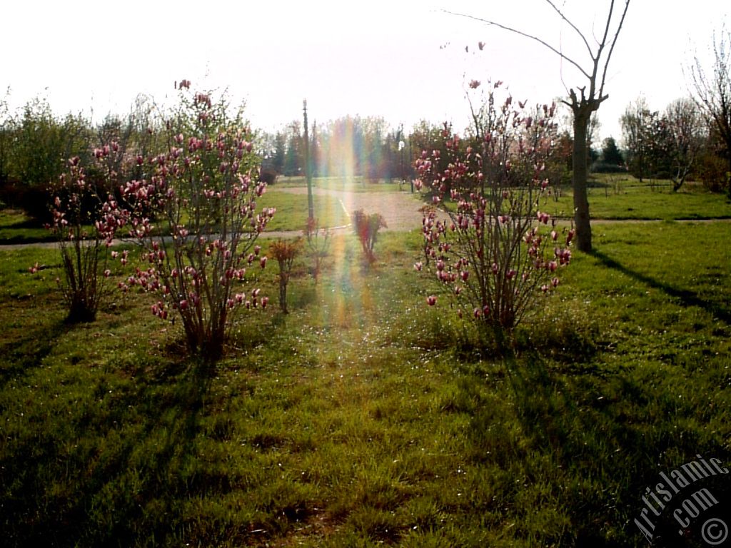 View of Botanical Park in Bursa city of Turkey.
