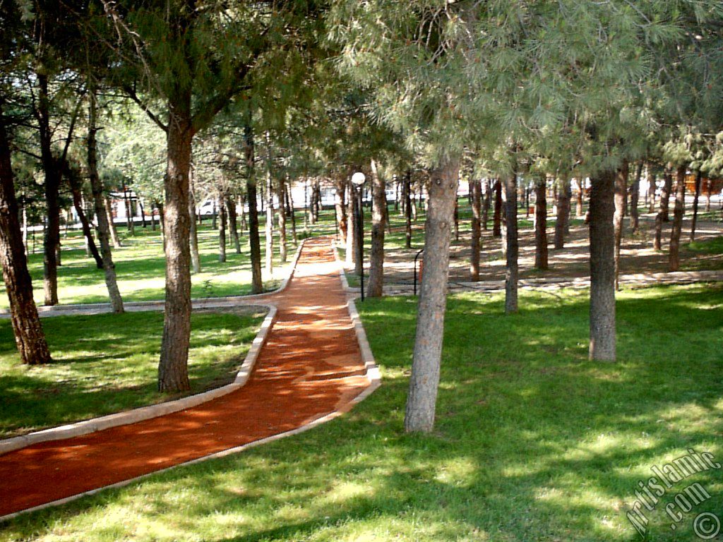 View of a park in Fethiye district in Bursa city of Turkey.
