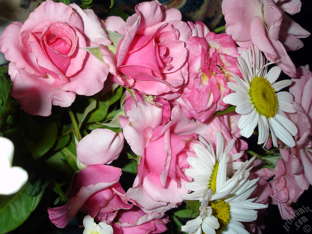 A bouquet consisting of rose, daisy and snapdragon flowers.
