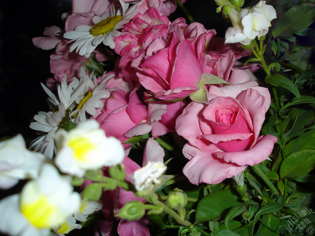 A bouquet consisting of rose, daisy and snapdragon flowers.
